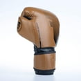 thumbnail image 5 of Fighter Boxing Gloves Pro - brown, FBG-PRO-003, 5 of 8