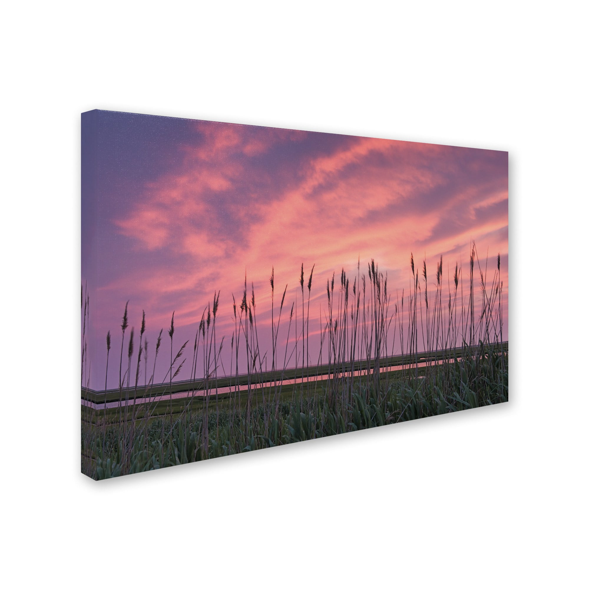 Trademark Fine Art "Marsh Reeds" Canvas Art by Michael Blanchette Photography
