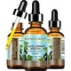 thumbnail image 2 of Aceite portador Botanical Beauty ACEITE DE SEMILLA DE GROSELLA NEGRA 30 ml, 2 of 7
