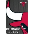 thumbnail image 4 of NBA Chicago Bulls - Logo 14 Wall Poster with Push Pins, 14.725" x 22.375", 4 of 6
