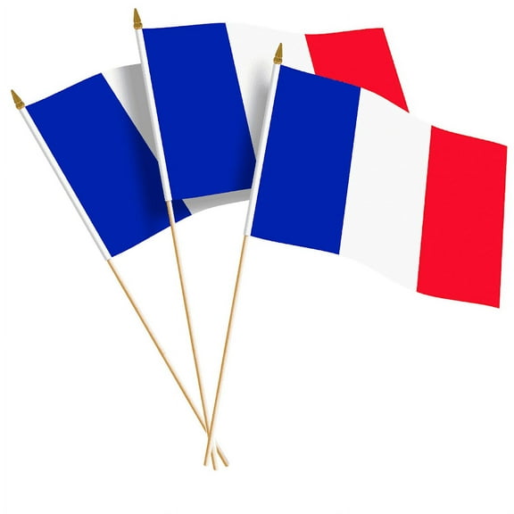 G128 12 Pack Handheld France French Stick Flags | 12x18 In | Printed 150D Polyester, Country Flag, Solid Wooden Stick, Spear Gold Tip