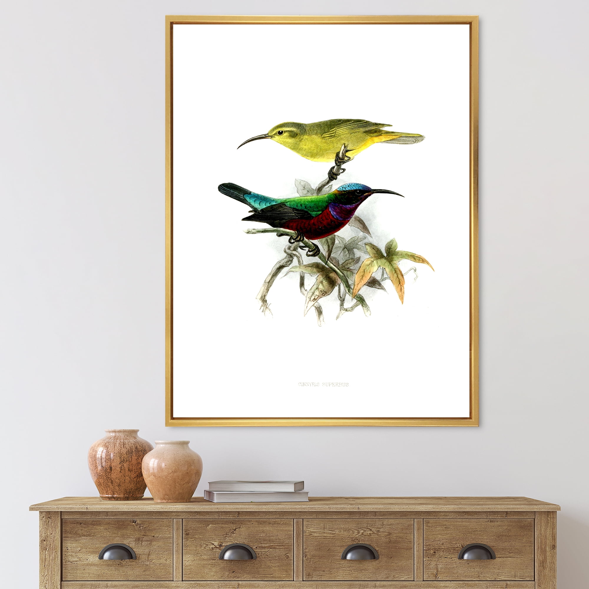 Designart 'Ancient Australian Birds XV' Traditional Framed Canvas Wall Art Print