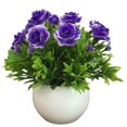 thumbnail image 1 of Flor artificial en maceta de plástico falso maceta de simulación de mesa Bonsai decoración del hogar Advancent HA8766-00B, 1 of 6