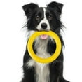 thumbnail image 5 of SPRING PARK Dog Training Ring Fitness Tool Flying EVA Interactive Pet Toy for Small Medium Large Dogs, 5 of 8
