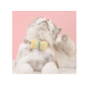 thumbnail image 4 of Set De 4 Collares Con Moño Para Gato Y Perros Razas Pequeñas Xtellar verde, 4 of 4