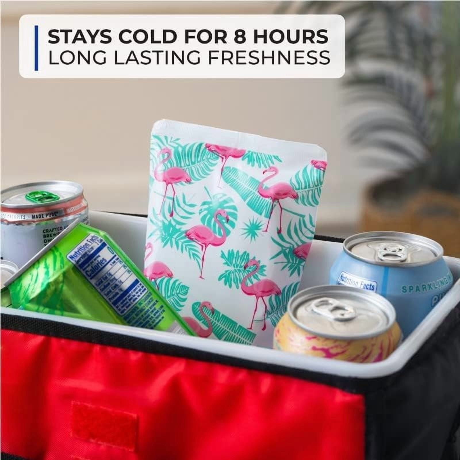 RibRave Ice Packs for Lunch Bags - Reusable Ice Packs for Cooler and Lunch Box - Long Lasting, Lightweight, Soft Gel Ice Packs for Camping, Beach Bags, Picnics, Injuries - Pack of 4