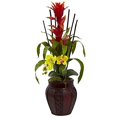 thumbnail image 1 of Bromedliad & Orchid Combo w/Planter, 1 of 2