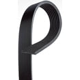 thumbnail image 3 of V-Ribbed Serpen (PARITY), 3 of 4