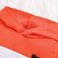 thumbnail image 4 of TSHXS 3T Boys Clothes Clothes For 2 Year Old Boy Toddler Boy Clothes Color Blocking Hoodies + Pants Fall Winter Outfits, 4 of 9