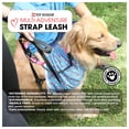 thumbnail image 4 of 2 in 1 Tab Leash Red with Glow-in-the-Dark feature for Small to Big Dogs from Toy Doggie Adventure Proof Collection, 4 of 7