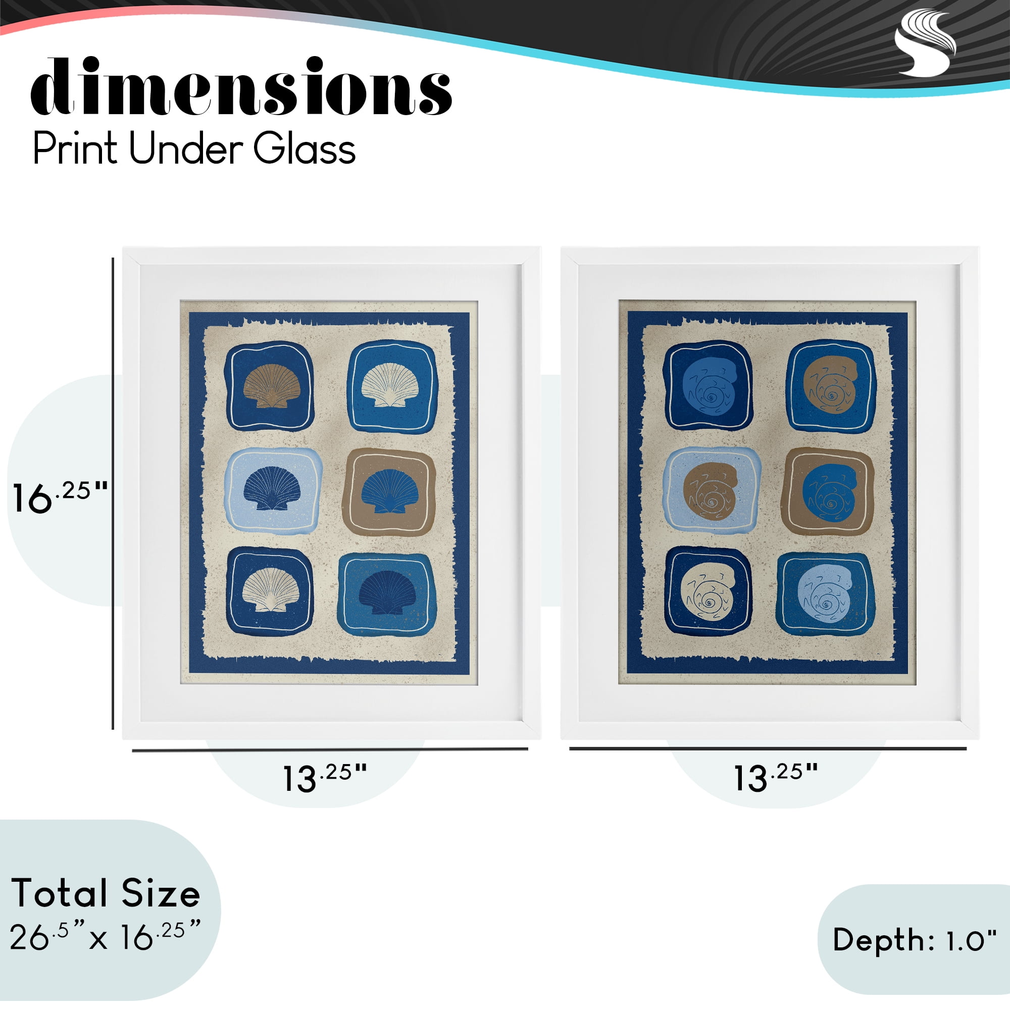 Stupell Industries Blue Blocked Seashells 2 Piece White Framed Print Under Glass Set, design by Julia Frost