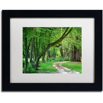 Trademark Fine Art "Intimate Landscape" Canvas Art by Philippe Sainte-Laudy, White Matte, Black Frame