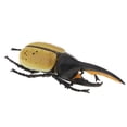 thumbnail image 3 of Juguete de modelo de animal para , material didáctico de ciencia escolar Hugo  Juguete realista de insectos naturales, 3 of 10