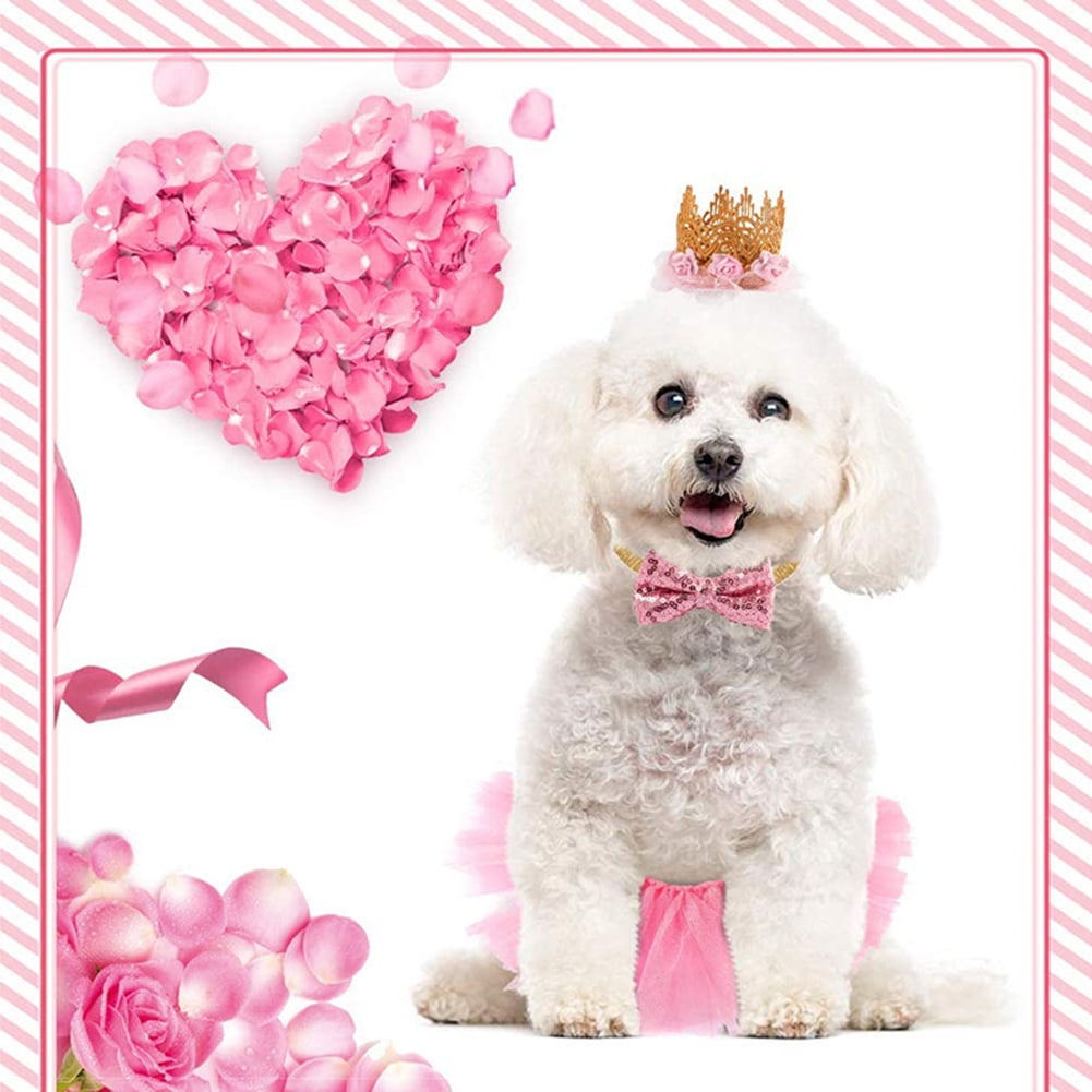 Dog christmas tutu online