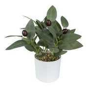 10-inch x 4-inch Artificial Olive Leaf Greenery Plant in White Pot, Green, for Indoor Use, by Mainstays
