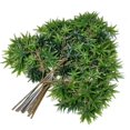 thumbnail image 4 of Green plant Big Tree plane branch Orange Leaf Maple Leaf French Banyan tea leaf plastic leaf, 4 of 6