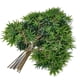 thumbnail image 4 of Planta verde Árbol grande Rama de plátano Hoja naranja Hoja de arce Banyan francés Hoja de té Hoja de plástico, 4 of 6