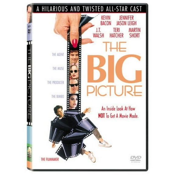 The Big Picture (Widescreen, Full Frame)