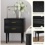 Semiocthome Nightstand Set of 2 with 2 Drawers,Bedside Table for Bedroom ,Adult ,Black