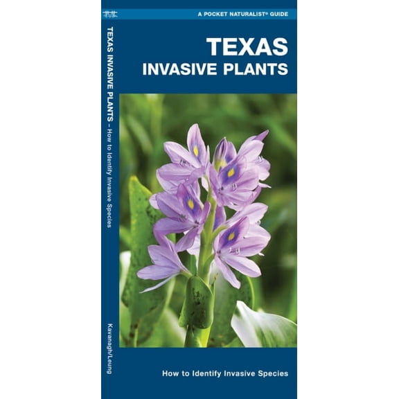 Texas Invasive Plants : A Folding Pocket Guide to Familiar Plants (Other)