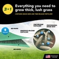 thumbnail image 5 of GrowTrax 50-ft. x 1-ft. Full Sun, Bermuda Rye Mixture Grass Seed, 5 of 8
