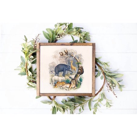 History Of Earth Vintage , Animal , Antique Animal, Vintage Wall Art Decor, Art Unframed Paper Print