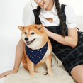 thumbnail image 2 of KLL Space Galaxy Dog Bandanas,Triangle Reversible Pet Scarf for Small Medium Large and Extra Large Dogs-Small, 2 of 4