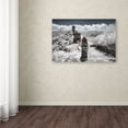 thumbnail image 3 of Trademark Fine Art "White Wall IV" Canvas Art by Philippe Hugonnard, 3 of 3