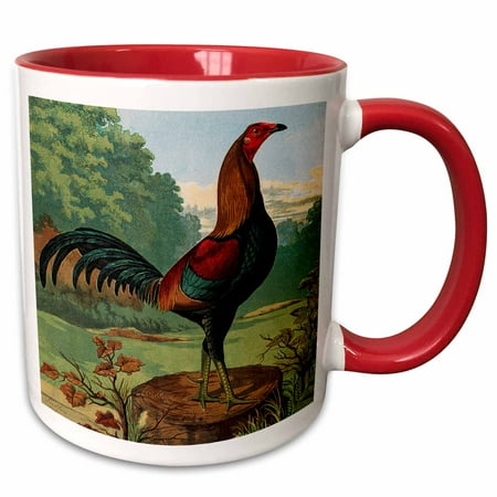 

3dRose Vintage Black Breasted Red Game Cock 1870 - Two Tone Red Mug 11-ounce