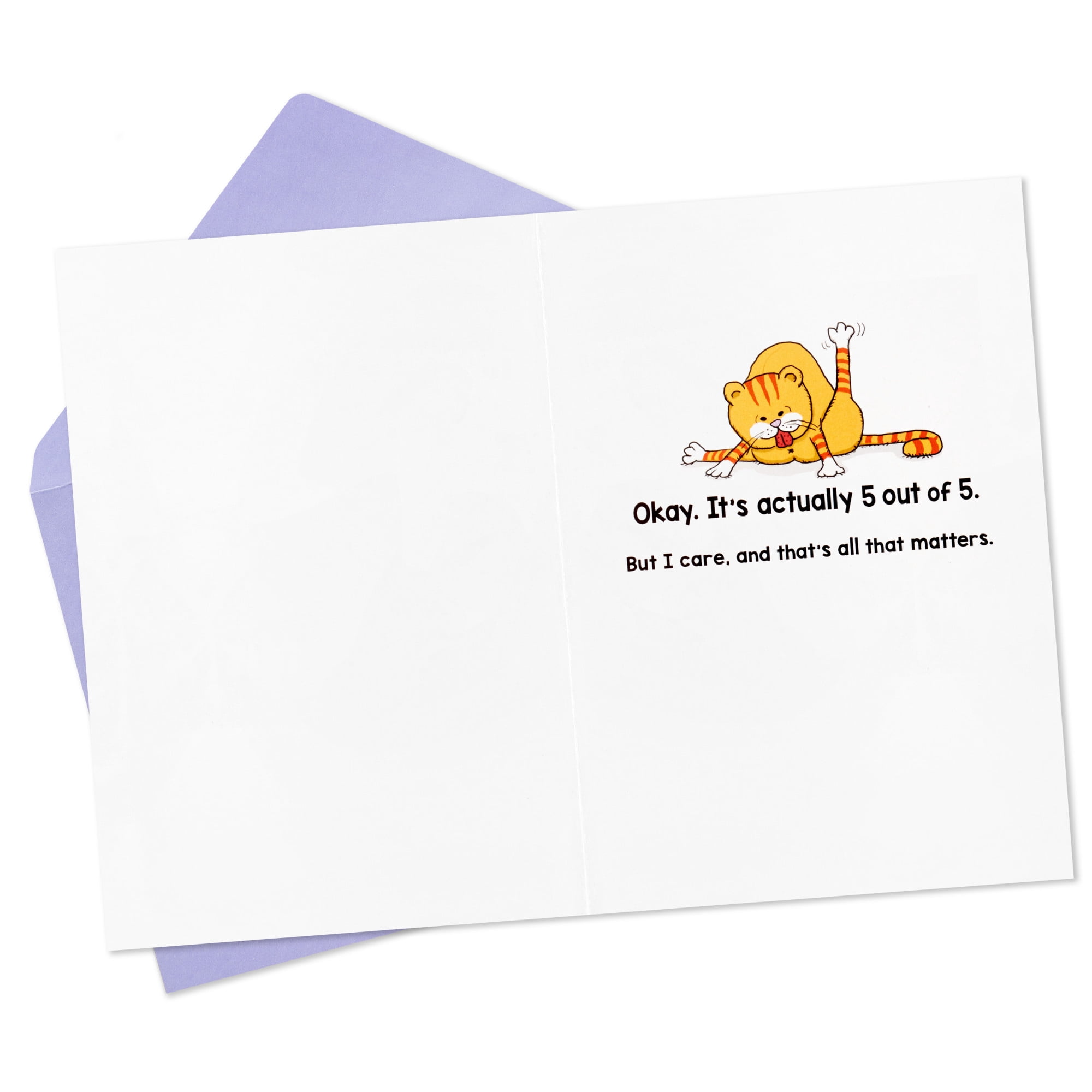 Hallmark Shoebox Funny Birthday Card (Cats Don't Care But I Do)