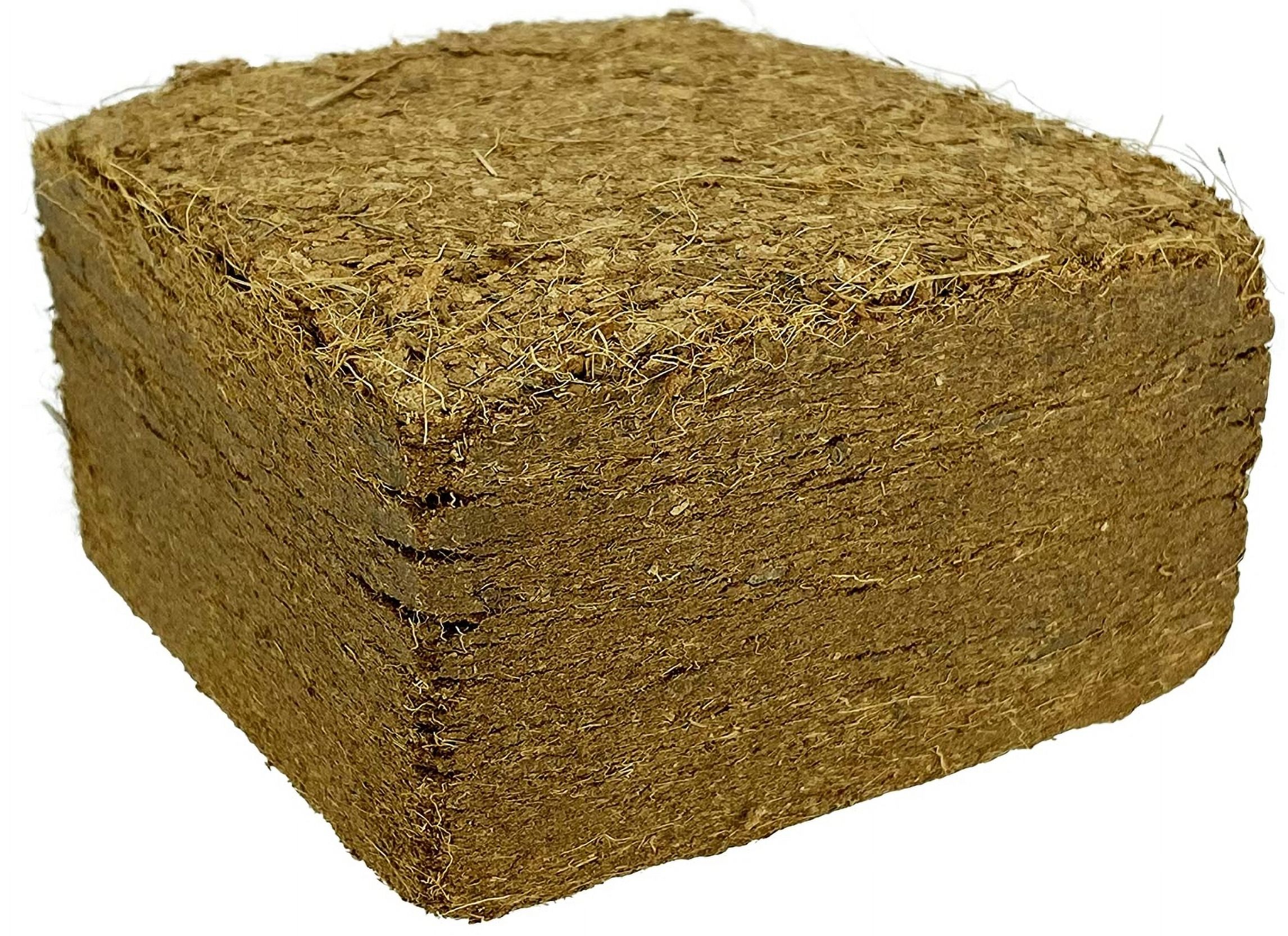 Komodo Reptile 93354 Coconut Coir Peat Bedding, Brown - Pack of 6
