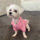thumbnail image 4 of Sudaderas con capucha sólidas para perros y gatos pequeños, ropa para mascotas, abrigo, chaquetas, sudadera para Chihuahua, trajes para mascotas de algodón, 4 of 4