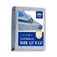 thumbnail image 1 of Lona Raindeway, 366 x 366 cm, 5,5 mm, impermeable, plata y azul, 1 of 9