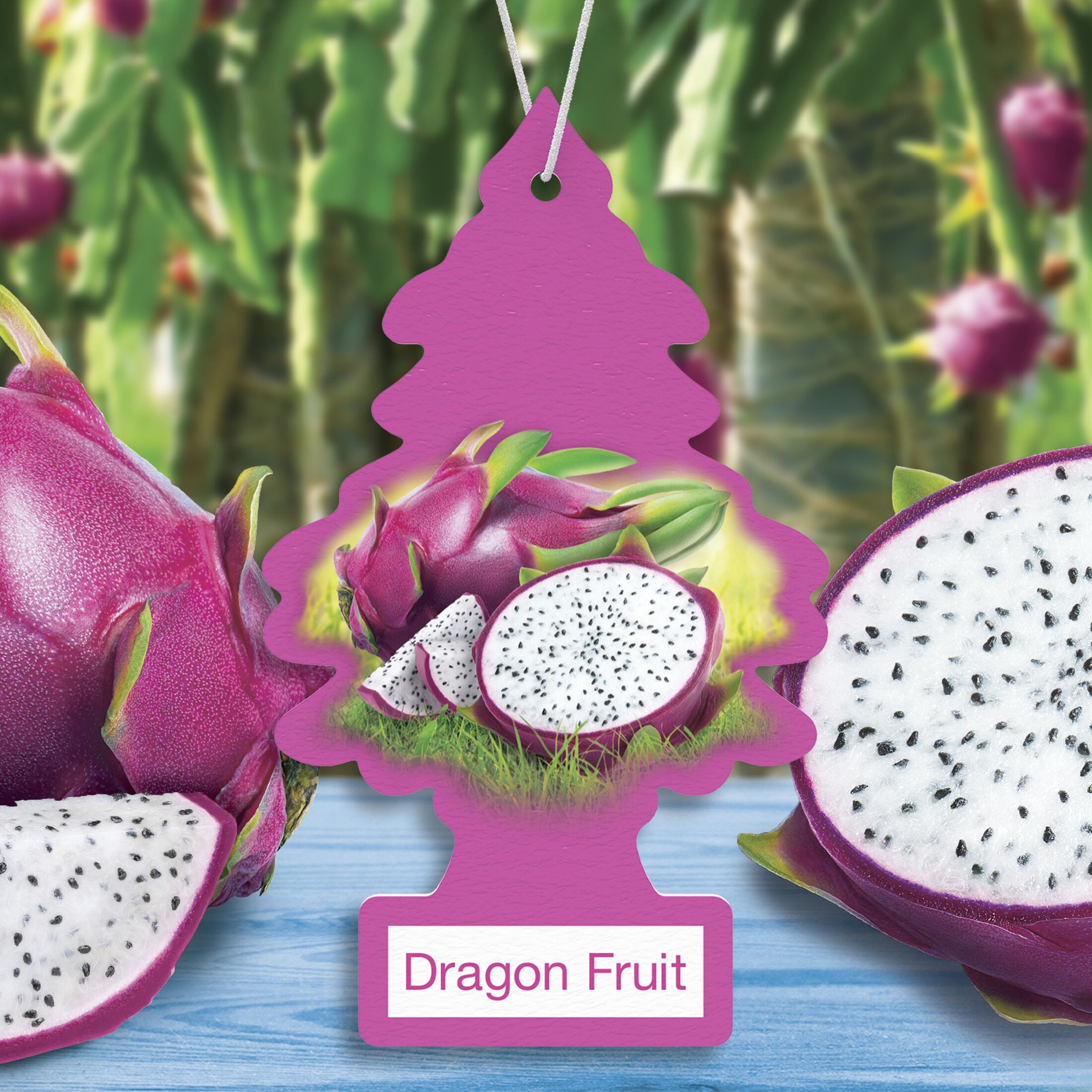 (2 pack) Little Trees Air Freshener Dragon Fruit Fragrance 3-Pack