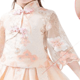 thumbnail image 7 of Esaierr Hanfu Dress for 2-14Y Girls Embroidery Ancient Style Fairy Outfit for Toddler Kids Baby Wear, 7 of 7