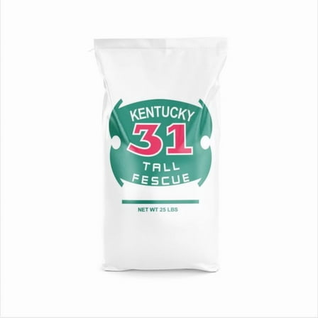 Barenbrug Kentucky 31 Tall Fescue Grass Seed, 25 lb - Sun or Shade Drought Tolerant