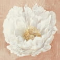 thumbnail image 2 of Purinton, Julia 20x20 White Modern Wood Framed Museum Art Print Titled - Serene Peony Terracotta, 2 of 4