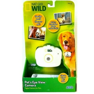 Hidden dog top collar camera
