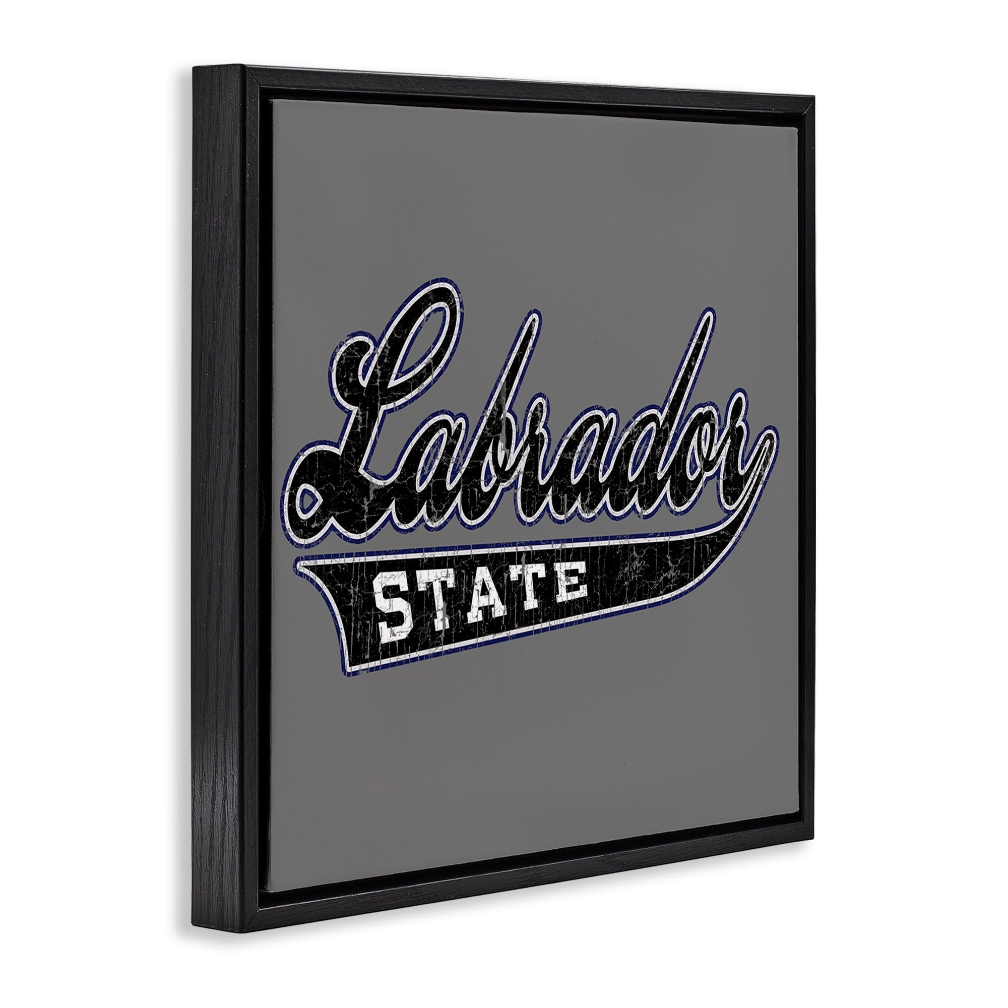 Stupell Industries Varsity Labrador State College Novelty & Humor Painting Black Floater Framed Canvas Art Print Wall Art, 18 x 18