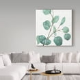 thumbnail image 3 of Trademark Fine Art 'Mixed Greens LI' Canvas Art by Lisa Audit, 3 of 3