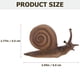 thumbnail image 3 of WORGEOUS 2 conjuntos Modelo de crecimiento de caracol Toyadores de ciclo de crecimiento de caracol Modelos educativos de caracol Modelos de caracol, 3 of 8