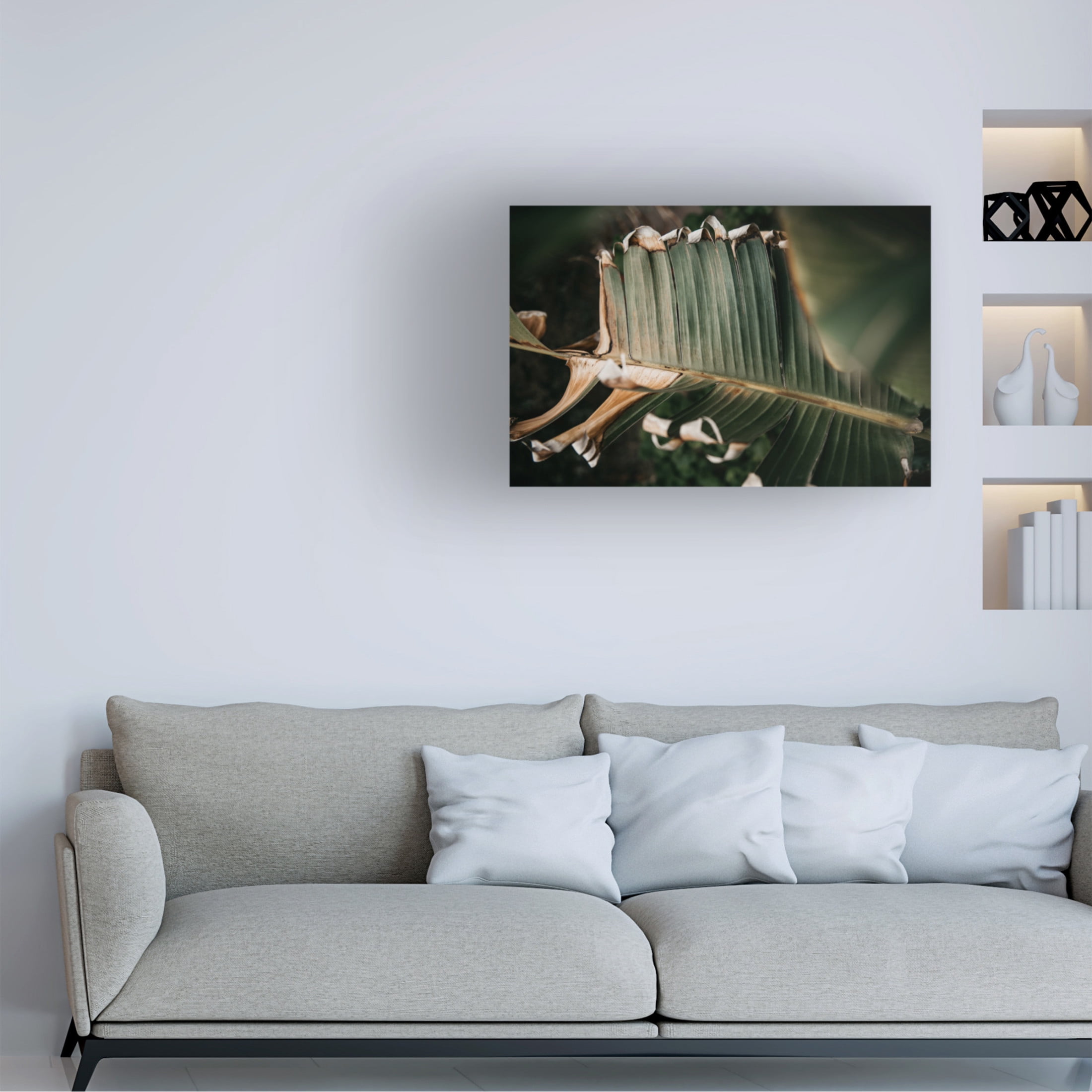 Trademark Fine Art Tim Mossholder Palm Decay Canvas Wall Art