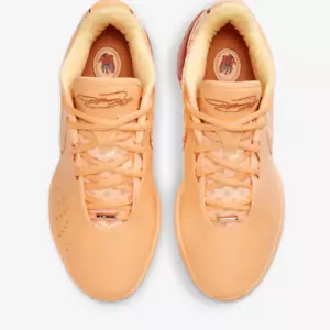 Nike LeBron 21 XXI EP Basketball Shoes 'Melon Tint' (FV2346-800