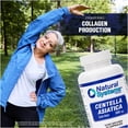 thumbnail image 3 of Suplemento Natural Systems Centella Asiática 500 mg 60 cápsulas, 3 of 5