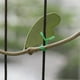 Cravate de Torsion de la Plante, 328 Pieds Vert Multifonction Robuste Plante Twist Câble Cravate/zip Cravate/fil Enduit avec Coupeur pour le Jardinage, la Maison, l'Organisation du Bureau (Vert) – image 4 sur 9