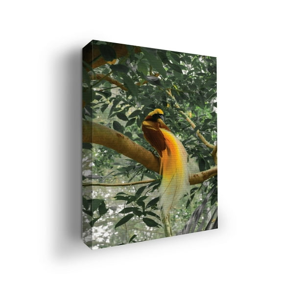 Birds of Paradise Canvas Wall Art by Mavis Print- 12X16 inches Bird Wall Decor | HD Printed & Wooden framed wall art | Modern Wall Decor for Gift | Made in USA