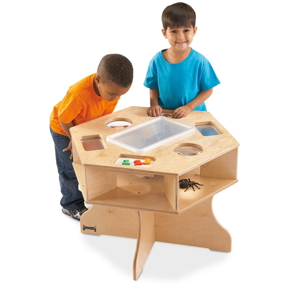 Science Activity Table