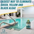 thumbnail image 3 of McGrayel Algatec 10064 Algaecide for Green, Yellow & Black Algae with QueBuy Pool Log Book, 3 of 9