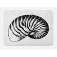 thumbnail image 1 of Vintage Nautical Tattoo Bath Mat, Detailed Vintage Sketch of Nautilus Shell Plain Background, Plush Bathroom Decor Mat with Non Slip Backing, 29.5" X 17.5", Charcoal Grey White, by Ambesonne, 1 of 2