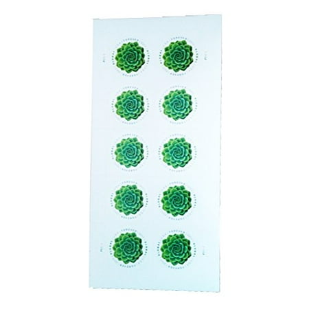 Green Succulent Sheet of 10 Global USPS First Class International Forever Postage Stamps